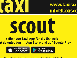 Taxi, Taxi Unternehmen